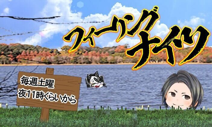 フィーリングナイツ